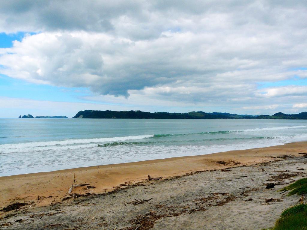 Absolute Beachview B & B Whitianga Dış mekan fotoğraf