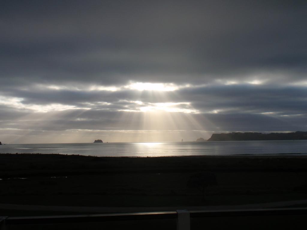 Absolute Beachview B & B Whitianga Dış mekan fotoğraf