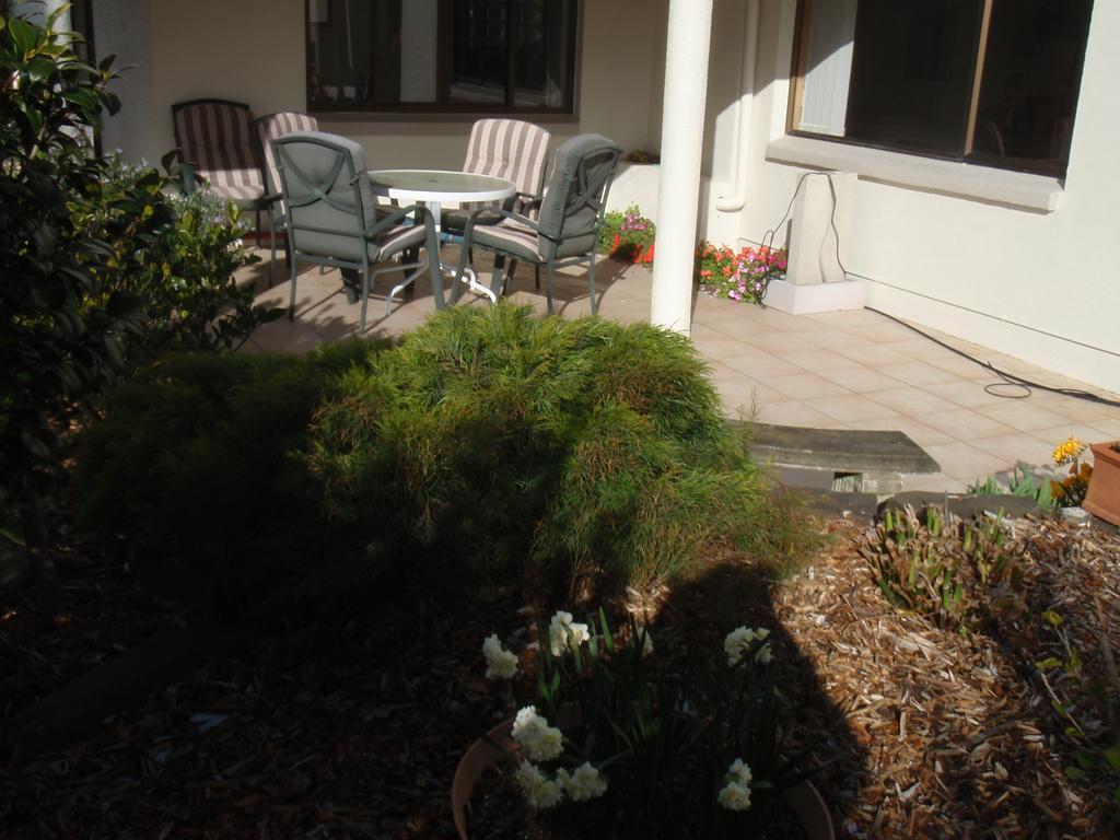 Absolute Beachview B & B Whitianga Dış mekan fotoğraf