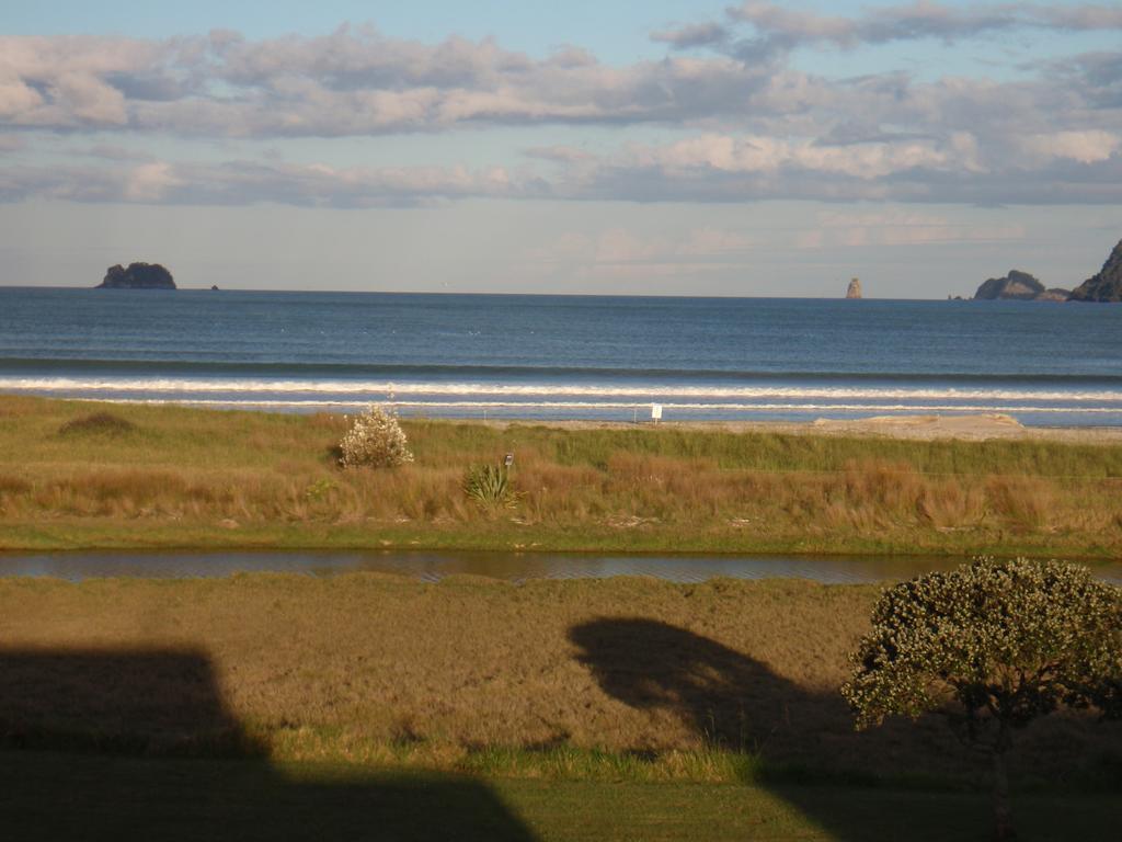 Absolute Beachview B & B Whitianga Dış mekan fotoğraf